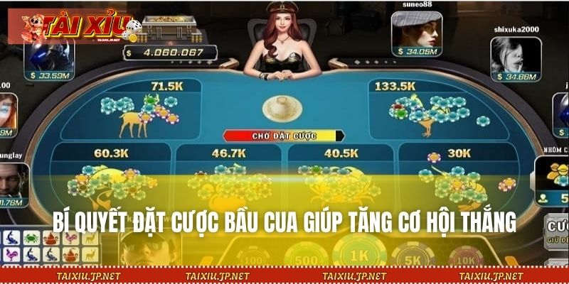Bí quyết đặt cược bầu cua giúp tăng cơ hội thắng