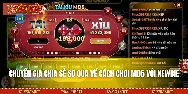 Chuyên gia chia sẻ sơ qua về cách chơi MD5 với newbie