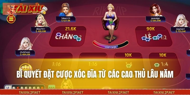 Bí quyết đặt cược xóc đĩa từ các cao thủ lâu năm