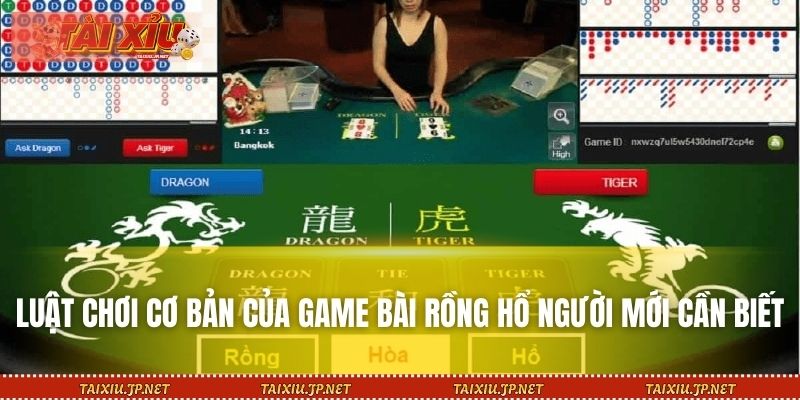 Luật chơi cơ bản của game bài Rồng Hổ người mới cần biết
