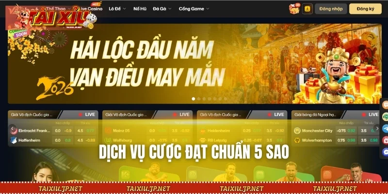 Dịch vụ cược đạt chuẩn 5 sao